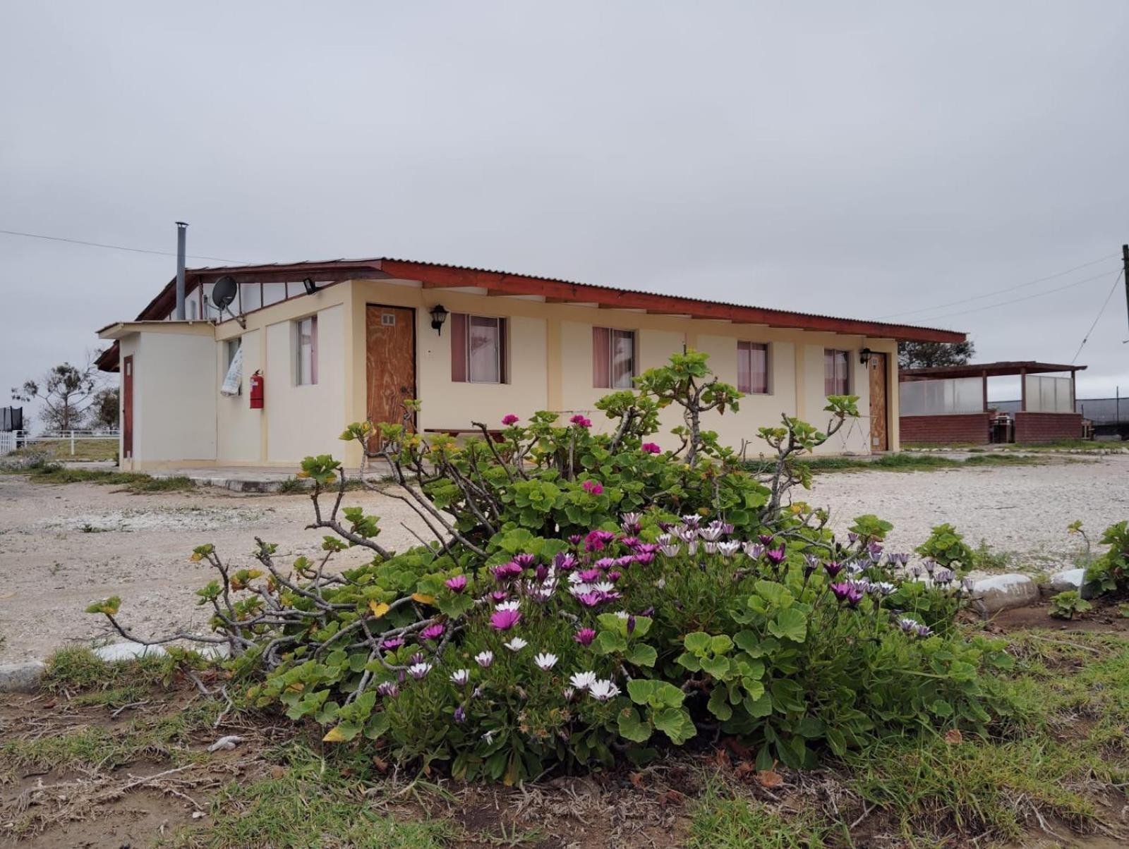 Aparthotel Santa Maria Punta de Choros Pokoj fotografie